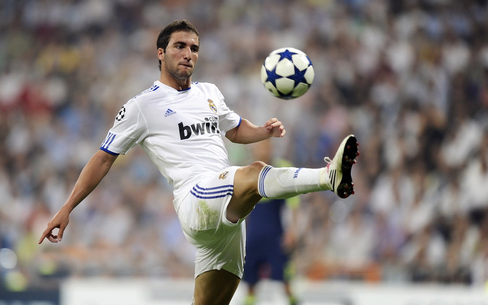 巴西骑手凯特·哈里森在巴黎奥运会三项赛中获得第十四名，展现出色表现。